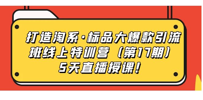 打造淘系·标品大爆款引流班线上特训营5天直播授课！-知一项目网