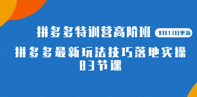 2023拼多多·特训营高阶班【9月13日更新】拼多多最新玩法技巧落地实操-83节-知一项目网
