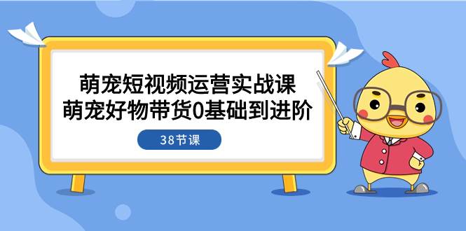 萌宠·短视频运营实战课：萌宠好物带货0基础到进阶（38节课）-知一项目网
